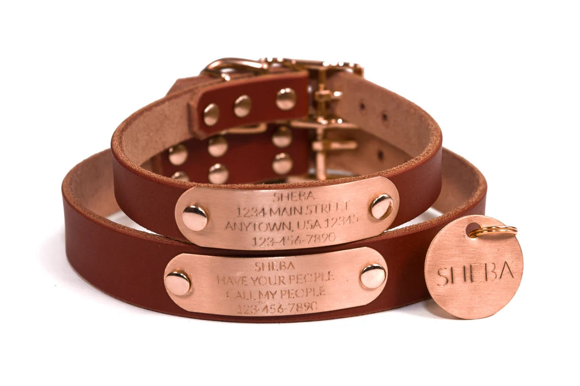 Copper top dog collar