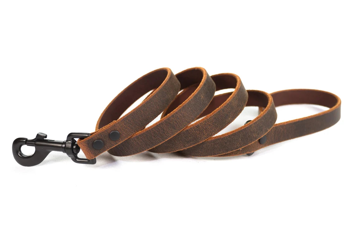 Signature Leather Dog Leash Black Tone Hardware – CopperLeafLeather