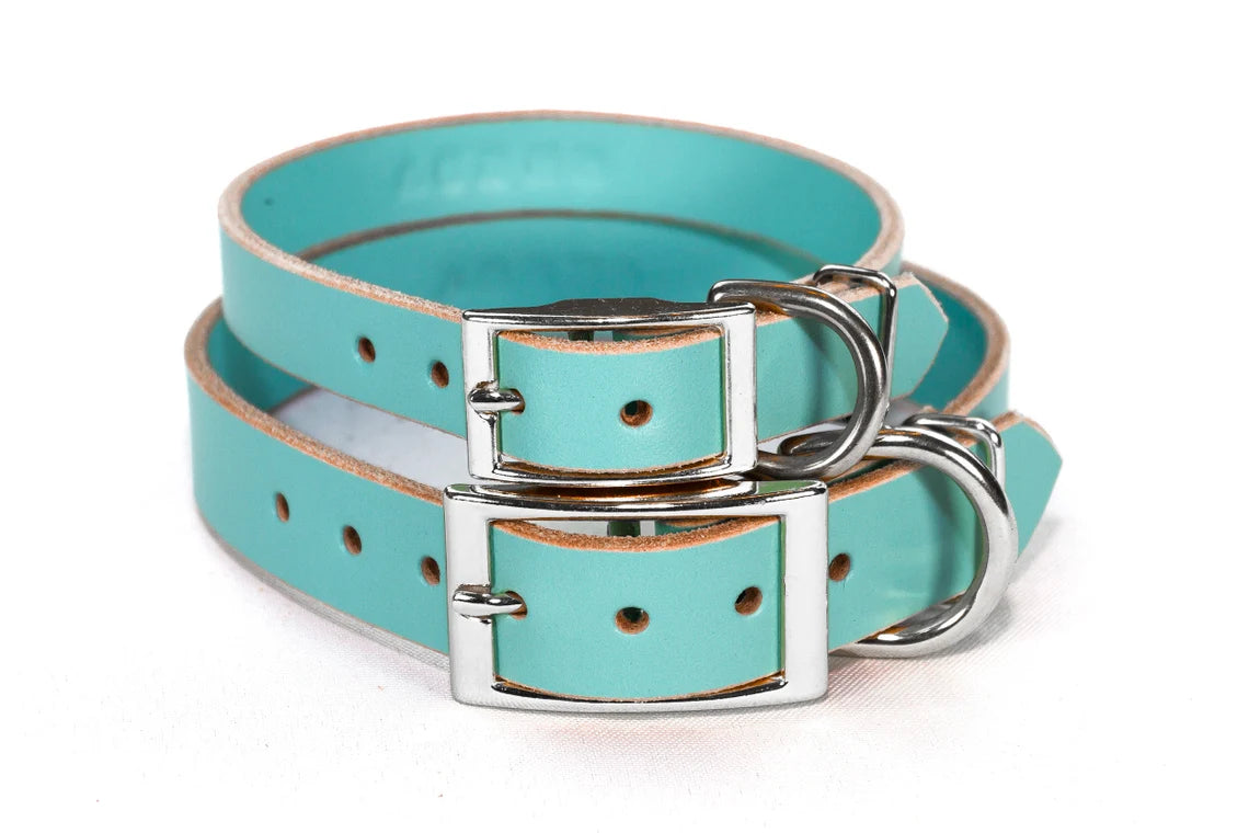 Aqua leather best sale dog collar