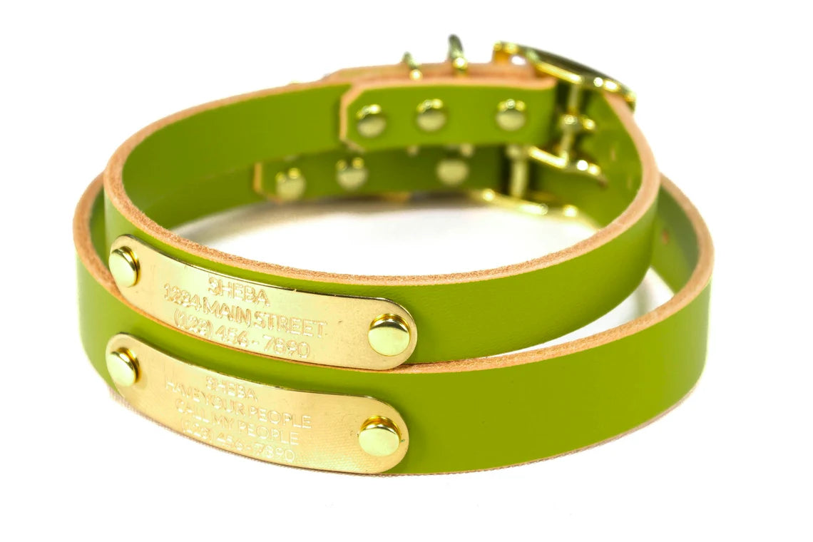 Leather dog collar hot sale with nameplate australia