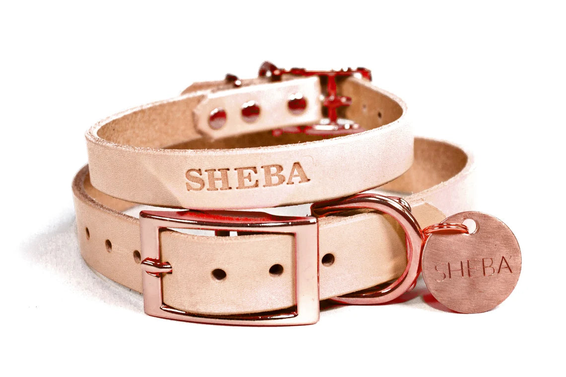 Leather Dog Collar - Copper / Rose Gold Tone Nameplate + Hanging Tag + –  CopperLeafLeather