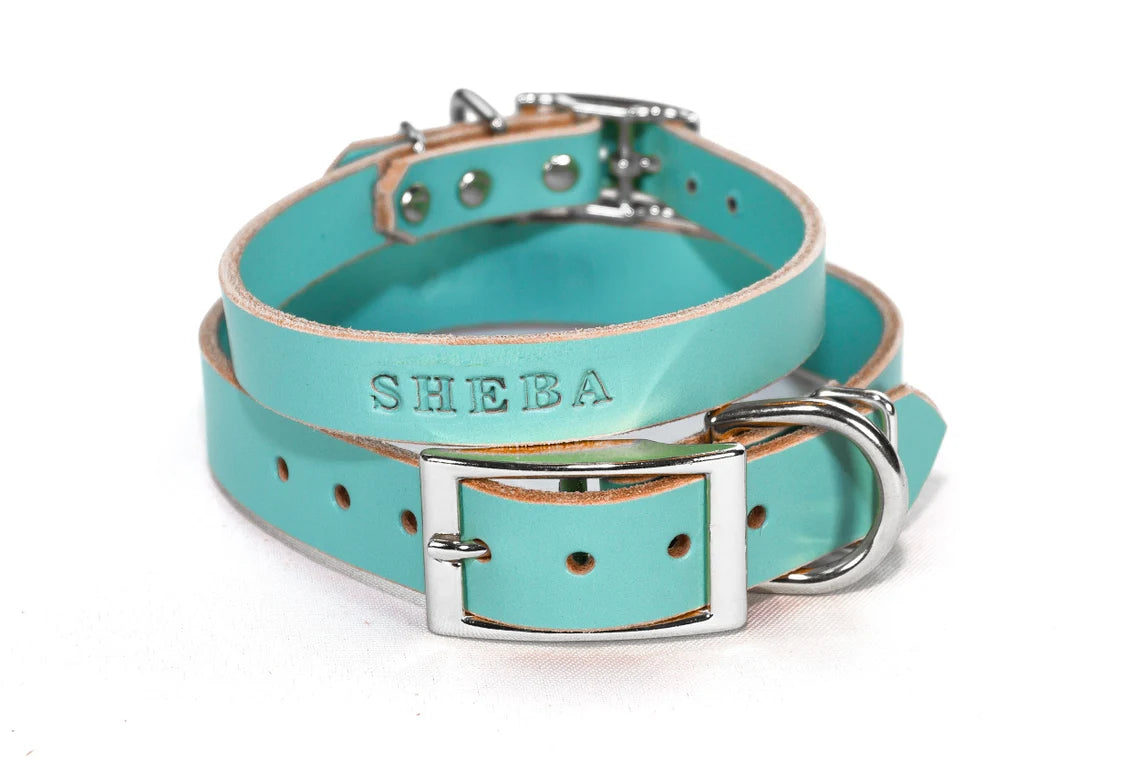 Tiffany blue sales leather dog collar